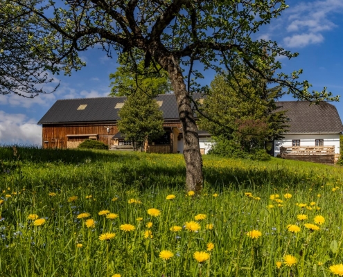 Das Ferienhaus am Berg in der Natur